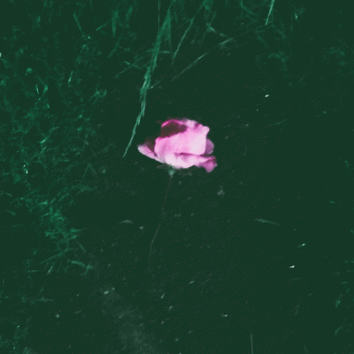 I Miss You, C... : Catalina (Demo)